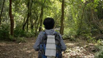 donna zaino in spalla che cammina attraverso la foresta tropicale e mira a una cascata nascosta in estate. video