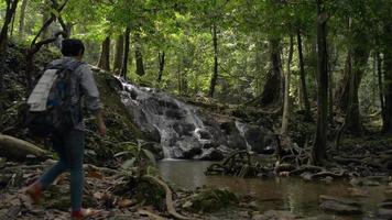 Woman tourist with backpack walking through the jungle and taking picture and video with beautiful cascade.