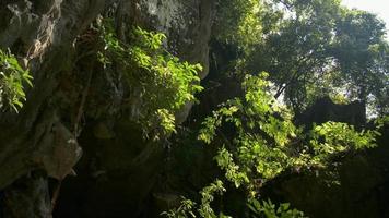 senderismo y escalada a través de la montaña rocosa para ver el paisaje frente a una cueva. video