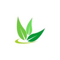 Green leaf, natural leaf icon logo design template vector