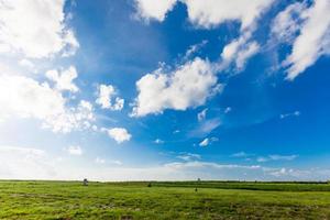 Green field under blue sky photo