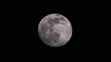 Full moon on black sky video