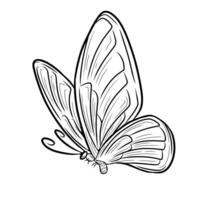 Line art butterfly tattoo vector design