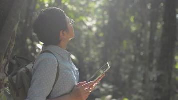 Asian female nature researcher working with digital tablet under morning sunlight in tropical rainforest.