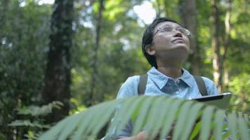 Female biologist or scientist exploring and working with digital tablet in the forest. video