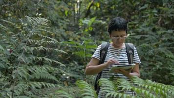 investigadora biológica femenina que trabaja con una tableta digital en un bosque tropical. video