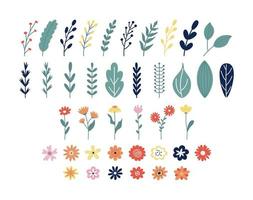 Collection of spring branches, petals and flowers. Vector illustration set