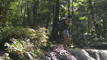 mochileiro de mulher andando sobre a cascata entre a floresta tropical verde no verão. video