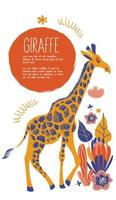 Giraffe and flowers. Vector illustration on a white background with space for text.