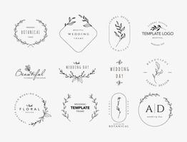 hermosos logotipos con adornos florales y marcos para la industria de la belleza bodas ilustración vectorial vector