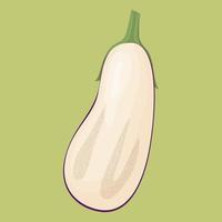 Half of eggplant isolated on background. Flat vector illustration