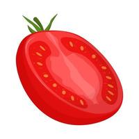 Half of tomato isolated on white background. Flat vector illustration