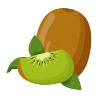 Whole kiwi with green leaf isolated on white background. Flat vector illustration