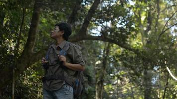 kvinnlig backpacker letar efter vägbeskrivning medan du vistas i skuggan av ett träd i regnskogen. video