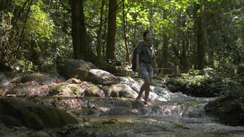 viajante de mulher lavando as mãos em um riacho de montanha sob a sombra da árvore. video