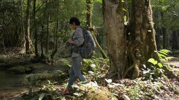 zaino in spalla femminile che cammina nella foresta tropicale e fermati a vedere uno splendido scenario vicino al torrente. video