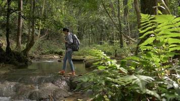 mujer mochilera caminando sobre el arroyo y parada para ver el hermoso paisaje en el bosque tropical. video