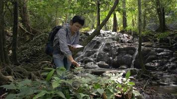 Female ecologist working near waterfall in forest for examine plants. video