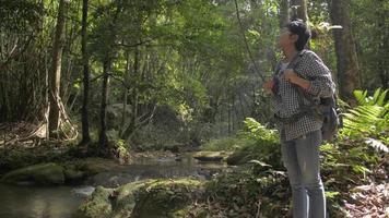 viaggiatore con zaino e sacco a pelo femminile che si guarda intorno per vedere lo splendido scenario della foresta tropicale. video