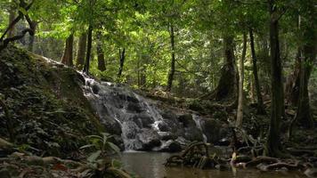 beau paysage paysage de petite cascade cachée dans la forêt tropicale. video