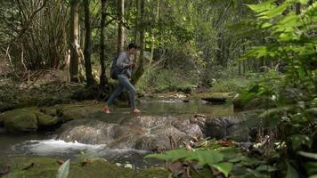 Woman backpacker walking through the creek in tropical forest. video