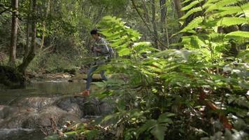 femme touriste avec sac à dos marchant sur le ruisseau dans la forêt pendant le voyage d'été. video
