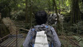 voyageuse marchant sur un pont en bois visant la cascade dans la forêt tropicale.