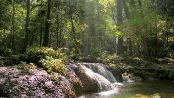 Beautiful nature scenery of water stream flowing from cascade under sunlight. video