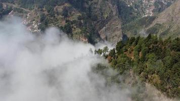 vue aérienne de drone survolant une forêt avec des nuages. filmer la forêt profonde d'en haut avec des nuages qui passent. plan cinématographique. au dessus des nuages. sensation de détente et de réflexion. Voyager à travers le monde. video