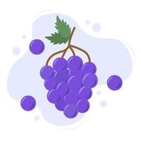 Bunch of grapes flat style vector