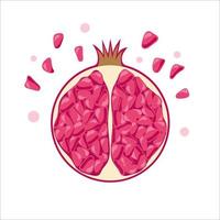 Illustration of pomegranate in flat style. Delicious berries, juicy fresh fruit, summer time vector