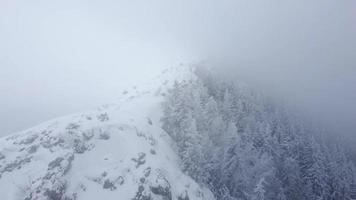 vista aérea de drones de belas paisagens de inverno nas montanhas com pinheiros cobertos de neve. céu escuro e neve caindo. tiro cinematográfico. viagem de inverno. video