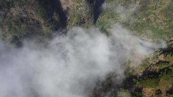 vista aérea de drone voando sobre uma floresta com nuvens. filmando a floresta profunda de cima com nuvens passageiras. tiro cinematográfico. acima das nuvens. sensação relaxante e pensativa. viajar o mundo. video