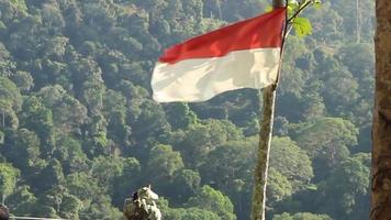 bandiera rossa e bianca dell'Indonesia che sventola sopra la collina. video