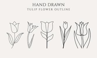 Tulip flower graphic black white isolated sketch illustration vector