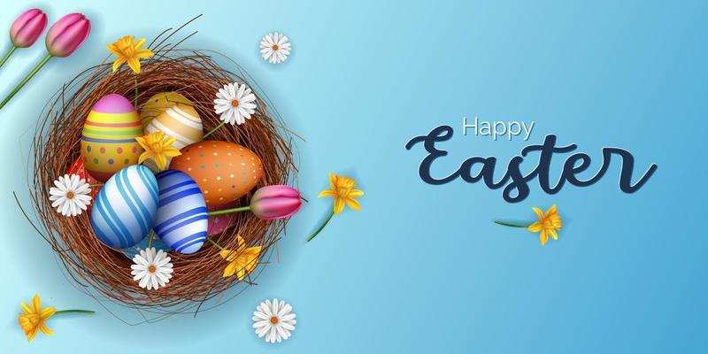 happy easter banner sky blue background with nest, eggs and flowers illustration