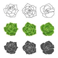 Succulent echeveria vector set - Lovely Rose, Greenovia, Shaviana. Hand drawn desert flower illustration in flat and doodle style. Set plants with black outline, silhouette succulents