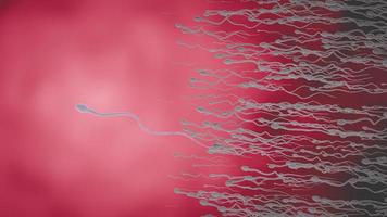The sperm is directed towards the egg. To do human mating. egg and a sperm. 3D Rendering photo