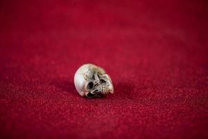 Red background and cute skull Harovine concept photo