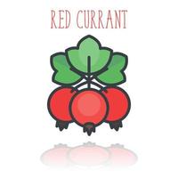 red currant icon isolated over white vector