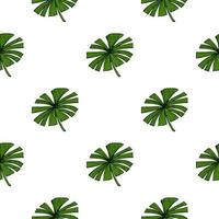 Fan palm leaves seamless pattern on. Vintage foliage of palmetto in engraving style. vector