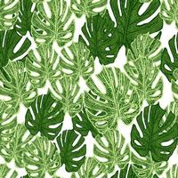 Engraving leaf monstera seamless pattern. Vintage leaves background. vector