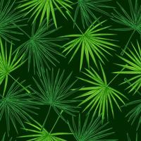 Fan palm leaves seamless pattern.Retro tropical branch in engraving style. vector