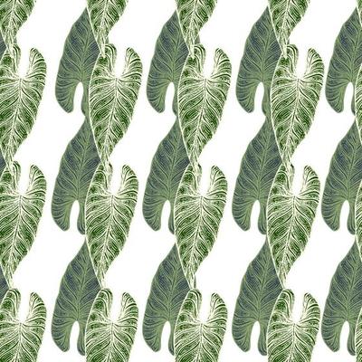 Engraving leaf araceae seamless pattern. Vintage leaves background.