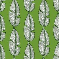 Banana leaf seamless pattern.Vintage tropical branch in engraving style. vector