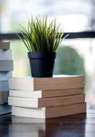 Book placed on the desk A lot of books, beautiful colors for studying, knowledge,education - images photo