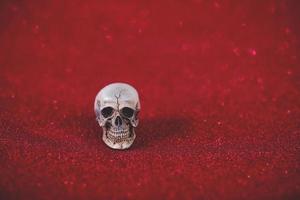 Red background and cute skull Harovine concept photo