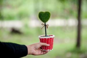 hermosa mano verde y corazón imágenes concepto de día de san valentín con espacio de copia foto