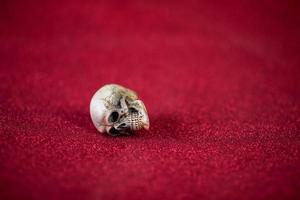 Red background and cute skull Harovine concept photo