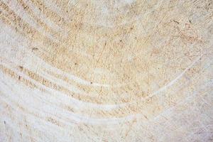 Grunge cutting board. Wood texture. photo